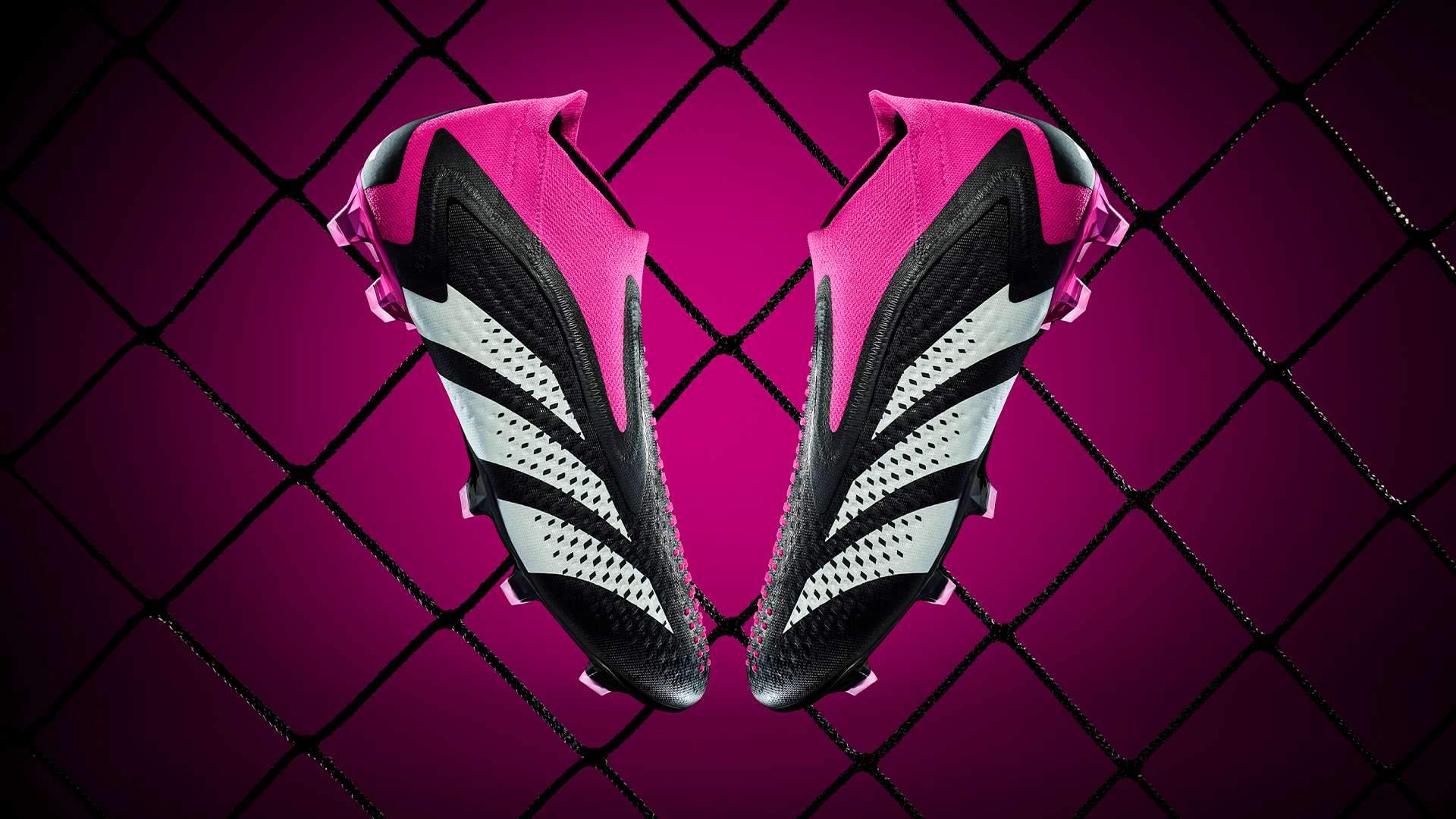 的曝光无疑 的曝光无疑