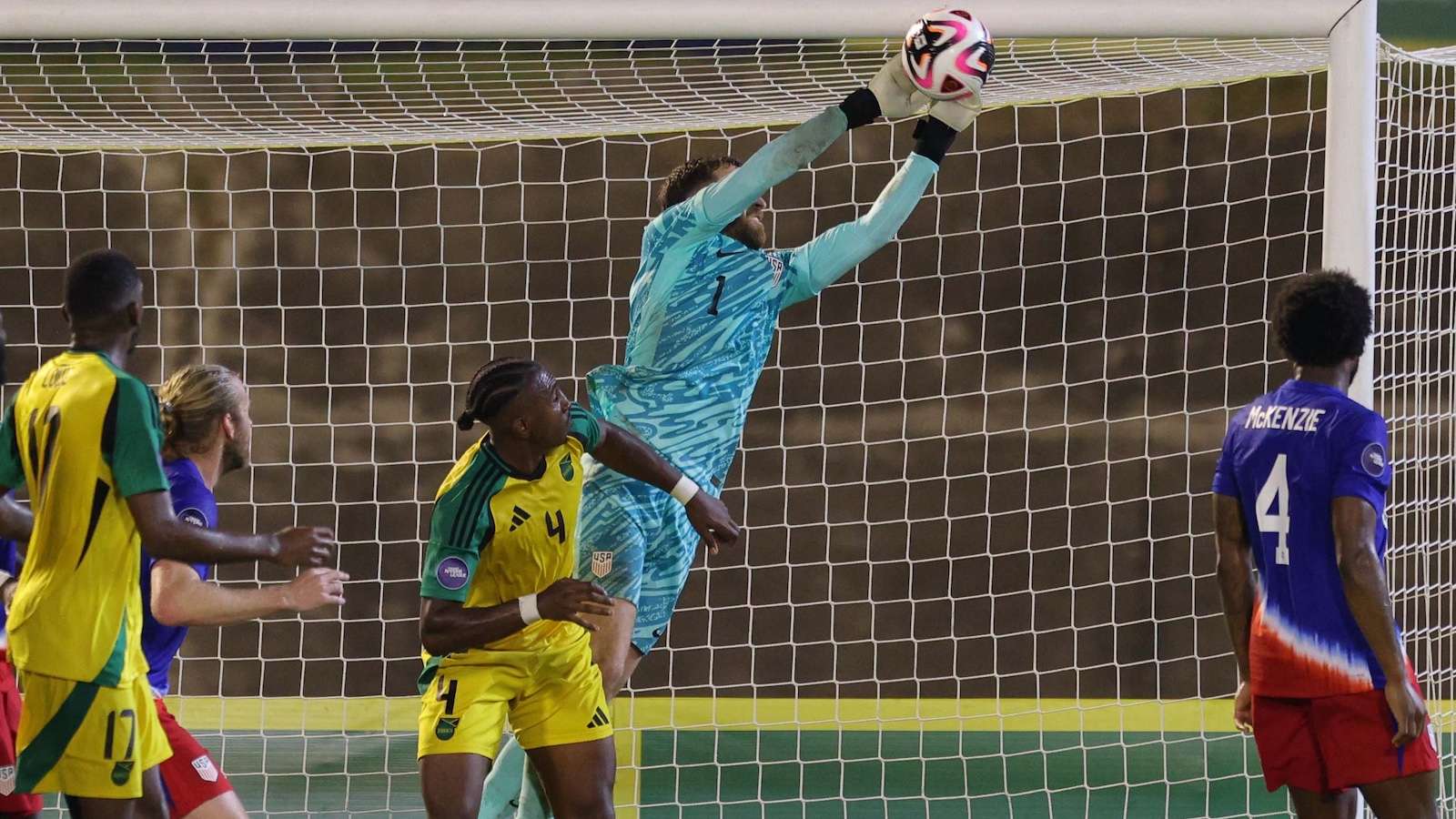 专业运动员 专业运动员